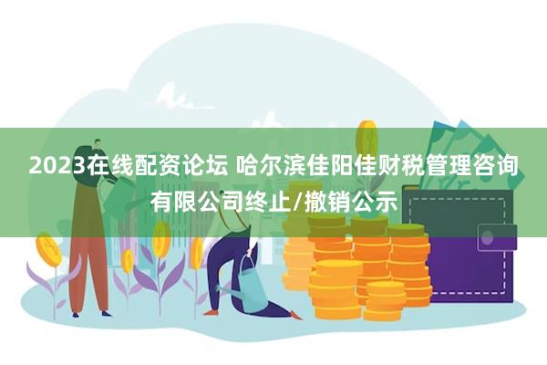2023在线配资论坛 哈尔滨佳阳佳财税管理咨询有限公司终止/撤销公示
