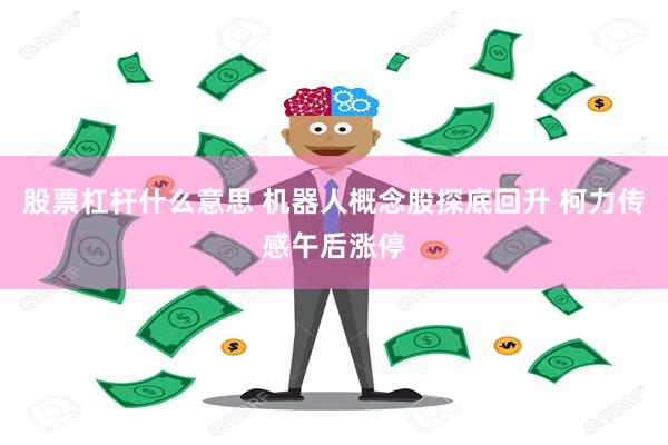 股票杠杆什么意思 机器人概念股探底回升 柯力传感午后涨停