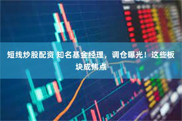 短线炒股配资 知名基金经理，调仓曝光！这些板块成焦点