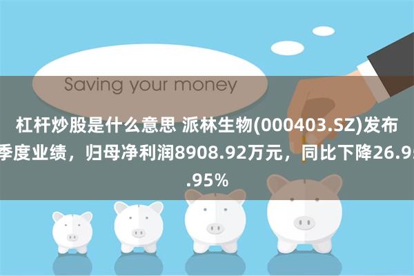 杠杆炒股是什么意思 派林生物(000403.SZ)发布一季度业绩，归母净利润8908.92万元，同比下降26.95%
