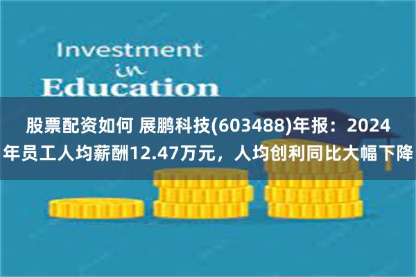 股票配资如何 展鹏科技(603488)年报：2024年员工人均薪酬12.47万元，人均创利同比大幅下降