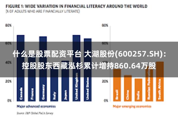 什么是股票配资平台 大湖股份(600257.SH)：控股股东西藏泓杉累计增持860.64万股