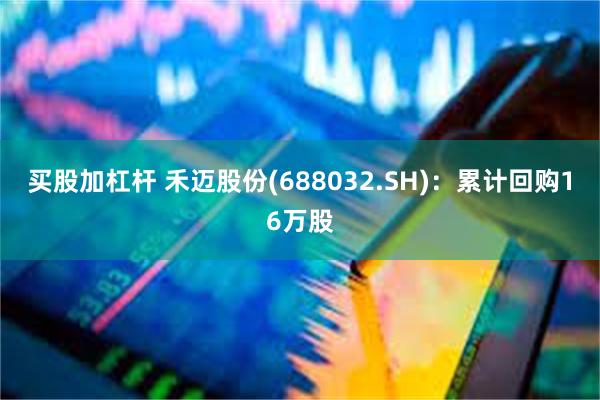 买股加杠杆 禾迈股份(688032.SH)：累计回购16万股