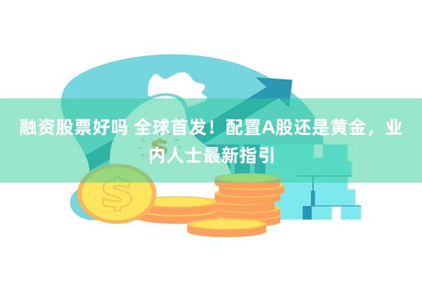 融资股票好吗 全球首发！配置A股还是黄金，业内人士最新指引
