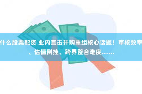 什么股票配资 业内直击并购重组核心话题！审核效率、估值倒挂、跨界整合难度......