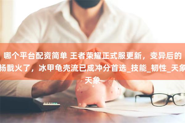 哪个平台配资简单 王者荣耀正式服更新，变异后的杨戬火了，冰甲龟壳流已成冲分首选_技能_韧性_天象