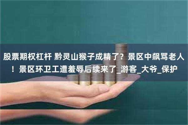 股票期权杠杆 黔灵山猴子成精了？景区中飙骂老人！景区环卫工遭羞辱后续来了_游客_大爷_保护