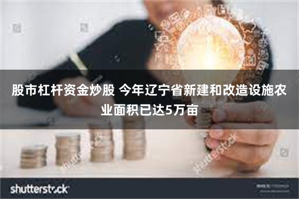 股市杠杆资金炒股 今年辽宁省新建和改造设施农业面积已达5万亩