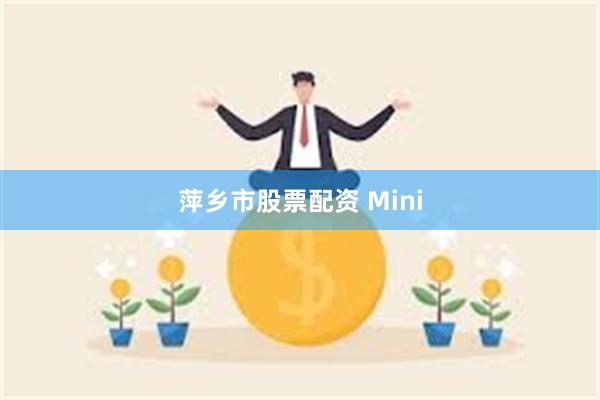 萍乡市股票配资 Mini